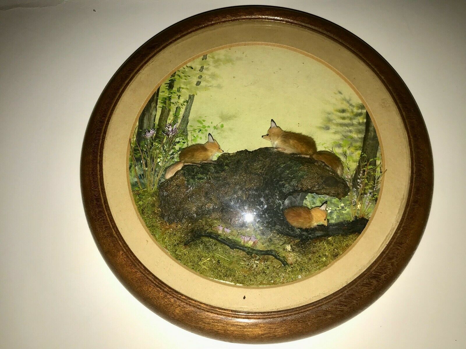 Foxes (7-inch)
